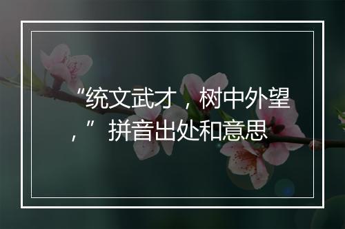 “统文武才，树中外望，”拼音出处和意思