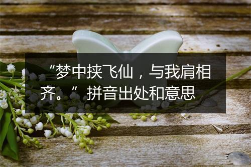 “梦中挟飞仙，与我肩相齐。”拼音出处和意思