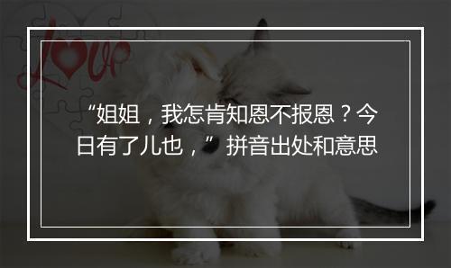 “姐姐，我怎肯知恩不报恩？今日有了儿也，”拼音出处和意思