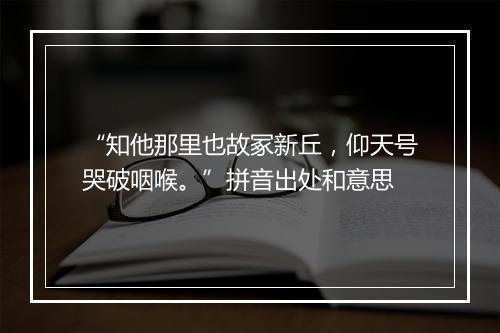 “知他那里也故冢新丘，仰天号哭破咽喉。”拼音出处和意思