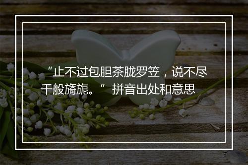 “止不过包胆茶胧罗笠，说不尽千般旖旎。”拼音出处和意思