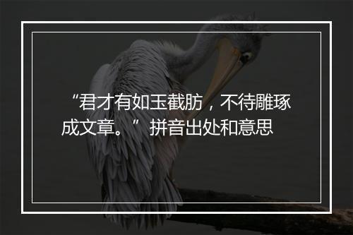 “君才有如玉截肪，不待雕琢成文章。”拼音出处和意思