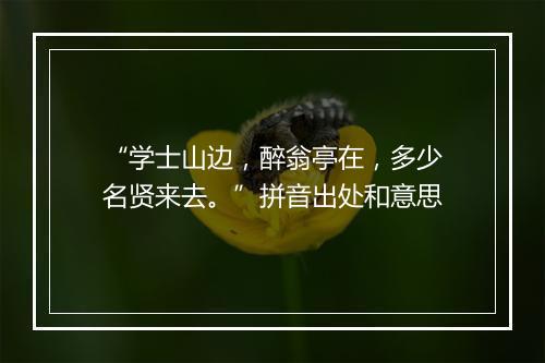 “学士山边，醉翁亭在，多少名贤来去。”拼音出处和意思