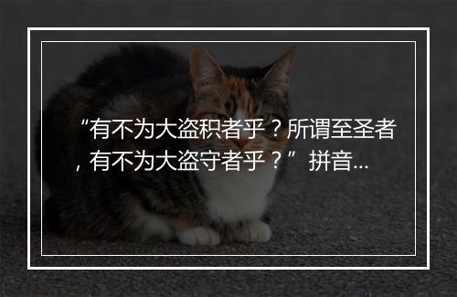 “有不为大盗积者乎？所谓至圣者，有不为大盗守者乎？”拼音出处和意思