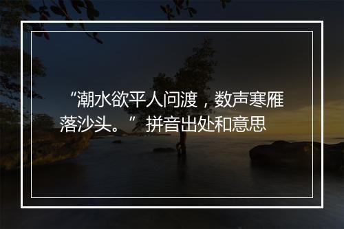 “潮水欲平人问渡，数声寒雁落沙头。”拼音出处和意思