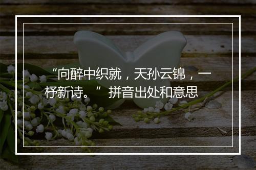 “向醉中织就，天孙云锦，一杼新诗。”拼音出处和意思