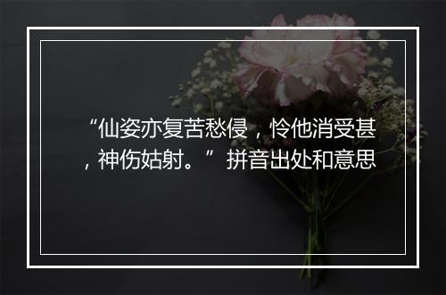 “仙姿亦复苦愁侵，怜他消受甚，神伤姑射。”拼音出处和意思