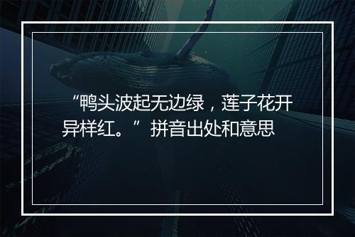 “鸭头波起无边绿，莲子花开异样红。”拼音出处和意思