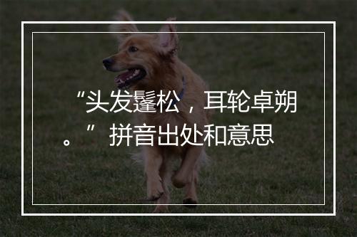 “头发鬔松，耳轮卓朔。”拼音出处和意思