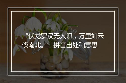 “伏龙罗汉无人识，万里如云倏南北。”拼音出处和意思