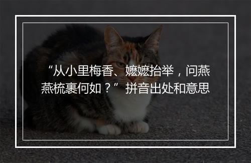 “从小里梅香、嬷嬷抬举，问燕燕梳裹何如？”拼音出处和意思