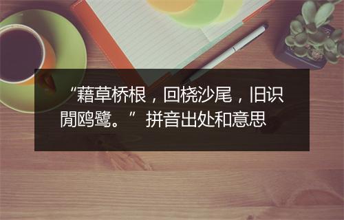 “藉草桥根，回桡沙尾，旧识閒鸥鹭。”拼音出处和意思