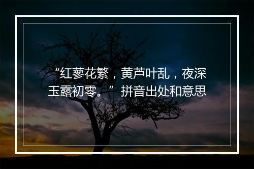 “红蓼花繁，黄芦叶乱，夜深玉露初零。”拼音出处和意思