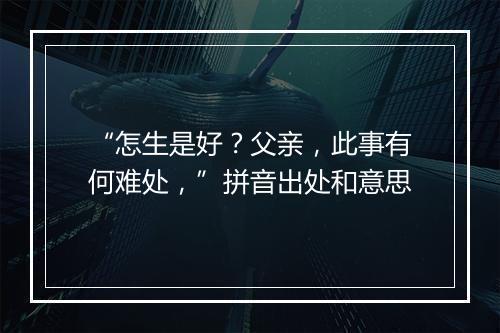 “怎生是好？父亲，此事有何难处，”拼音出处和意思