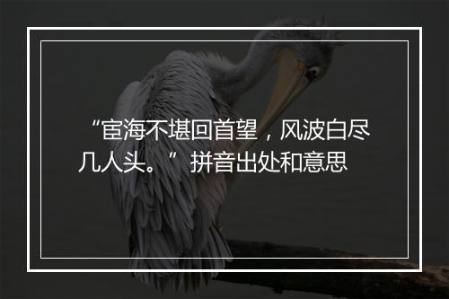 “宦海不堪回首望，风波白尽几人头。”拼音出处和意思