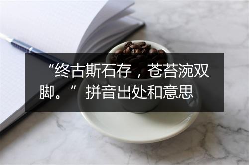 “终古斯石存，苍苔涴双脚。”拼音出处和意思