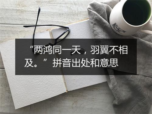 “两鸿同一天，羽翼不相及。”拼音出处和意思