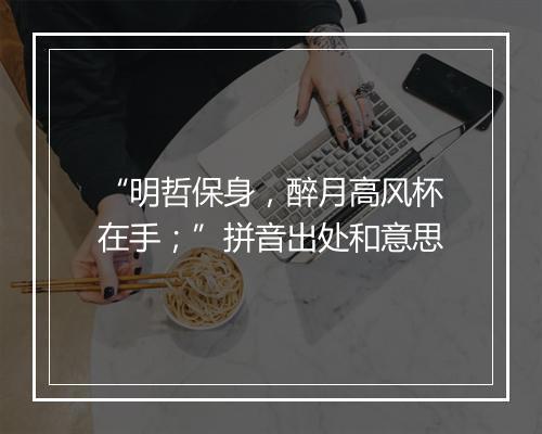 “明哲保身，醉月高风杯在手；”拼音出处和意思