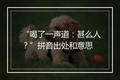 “喝了一声道：甚么人？”拼音出处和意思