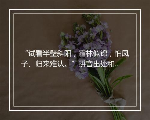 “试看半壁斜阳，霜林似锦，怕凤子、归来难认。”拼音出处和意思