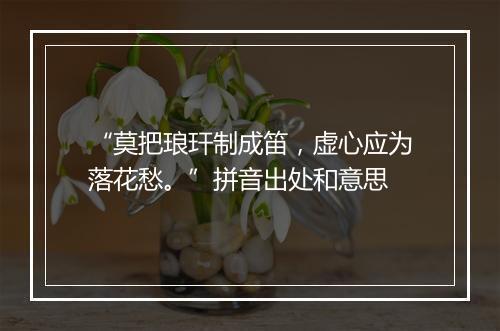 “莫把琅玕制成笛，虚心应为落花愁。”拼音出处和意思