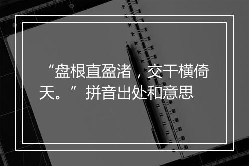 “盘根直盈渚，交干横倚天。”拼音出处和意思