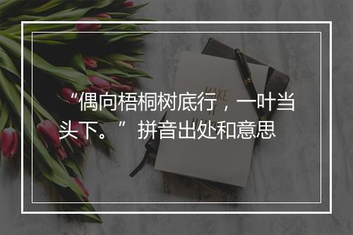 “偶向梧桐树底行，一叶当头下。”拼音出处和意思