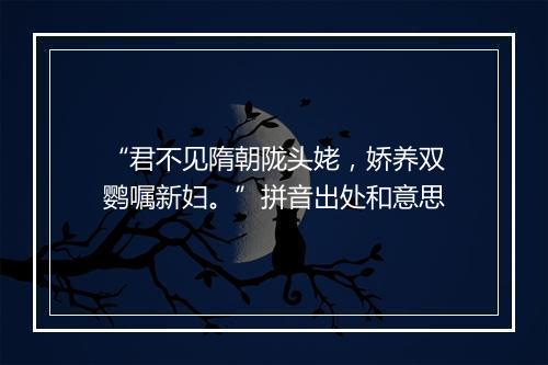 “君不见隋朝陇头姥，娇养双鹦嘱新妇。”拼音出处和意思