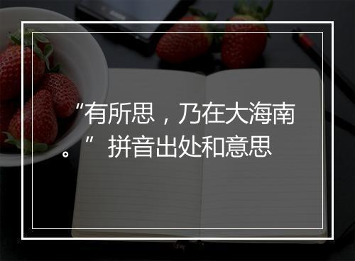 “有所思，乃在大海南。”拼音出处和意思