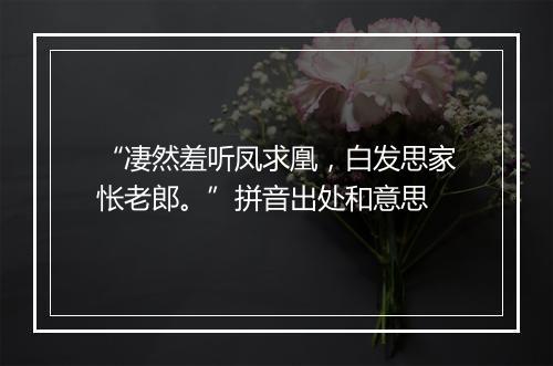 “凄然羞听凤求凰，白发思家怅老郎。”拼音出处和意思