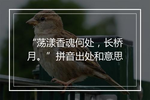 “荡漾香魂何处，长桥月。”拼音出处和意思