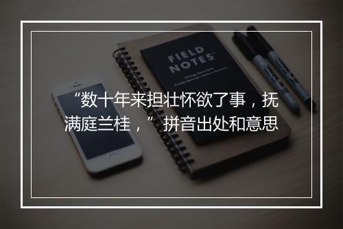 “数十年来担壮怀欲了事，抚满庭兰桂，”拼音出处和意思