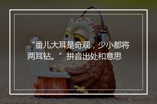 “番儿大耳是奇观，少小都将两耳钻。”拼音出处和意思