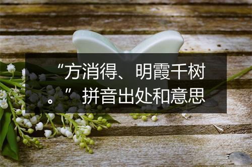 “方消得、明霞千树。”拼音出处和意思