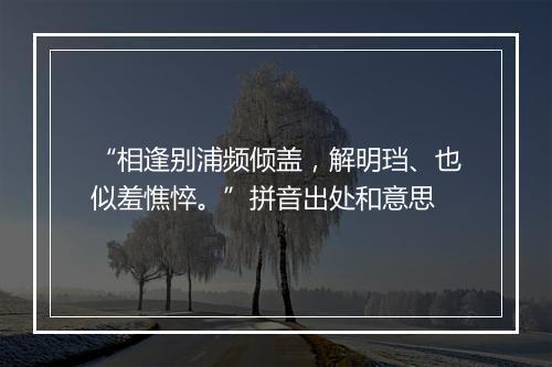 “相逢别浦频倾盖，解明珰、也似羞憔悴。”拼音出处和意思