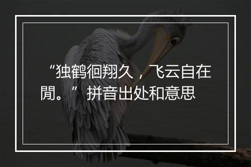 “独鹤徊翔久，飞云自在閒。”拼音出处和意思