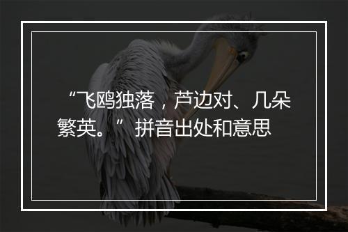 “飞鸥独落，芦边对、几朵繁英。”拼音出处和意思