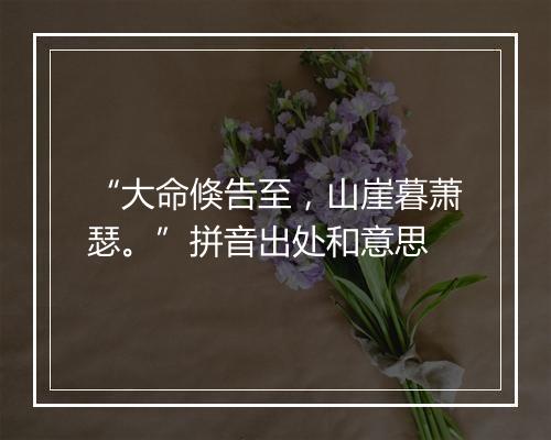 “大命倏告至，山崖暮萧瑟。”拼音出处和意思