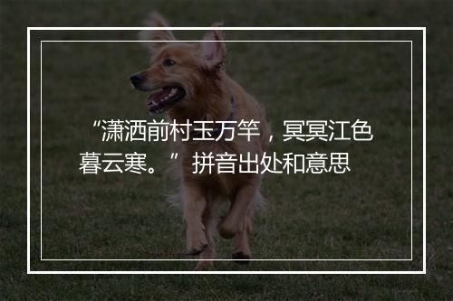 “潇洒前村玉万竿，冥冥江色暮云寒。”拼音出处和意思