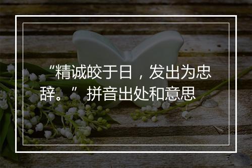 “精诚皎于日，发出为忠辞。”拼音出处和意思