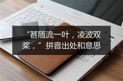 “甚随流一叶，凌波双桨，”拼音出处和意思