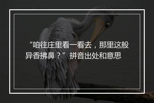 “咱往庄里看一看去，那里这般异香拂鼻？”拼音出处和意思