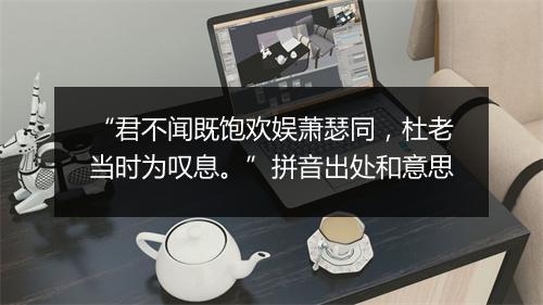 “君不闻既饱欢娱萧瑟同，杜老当时为叹息。”拼音出处和意思