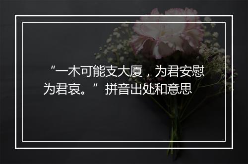 “一木可能支大厦，为君安慰为君哀。”拼音出处和意思