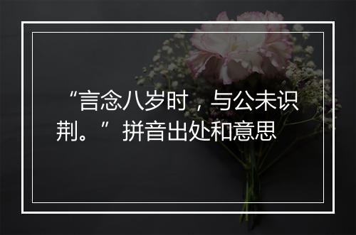 “言念八岁时，与公未识荆。”拼音出处和意思