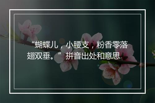 “蝴蝶儿，小腰支，粉香零落翅双垂。”拼音出处和意思