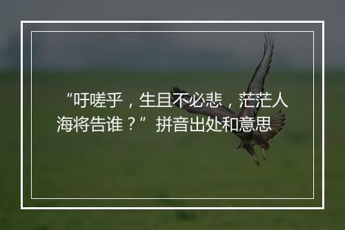 “吁嗟乎，生且不必悲，茫茫人海将告谁？”拼音出处和意思