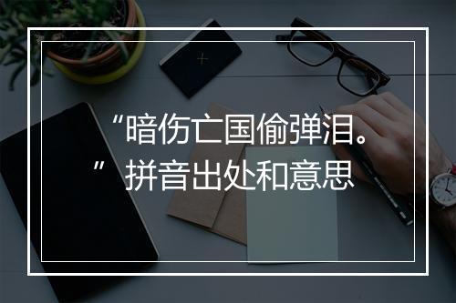 “暗伤亡国偷弹泪。”拼音出处和意思