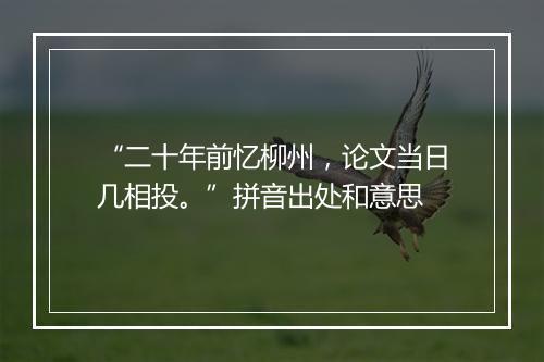 “二十年前忆柳州，论文当日几相投。”拼音出处和意思