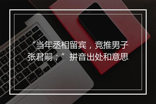 “当年丞相留宾，竞推男子张君嗣；”拼音出处和意思